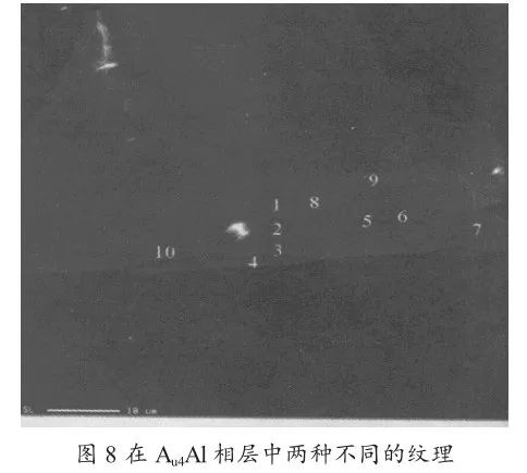 说明: 图片